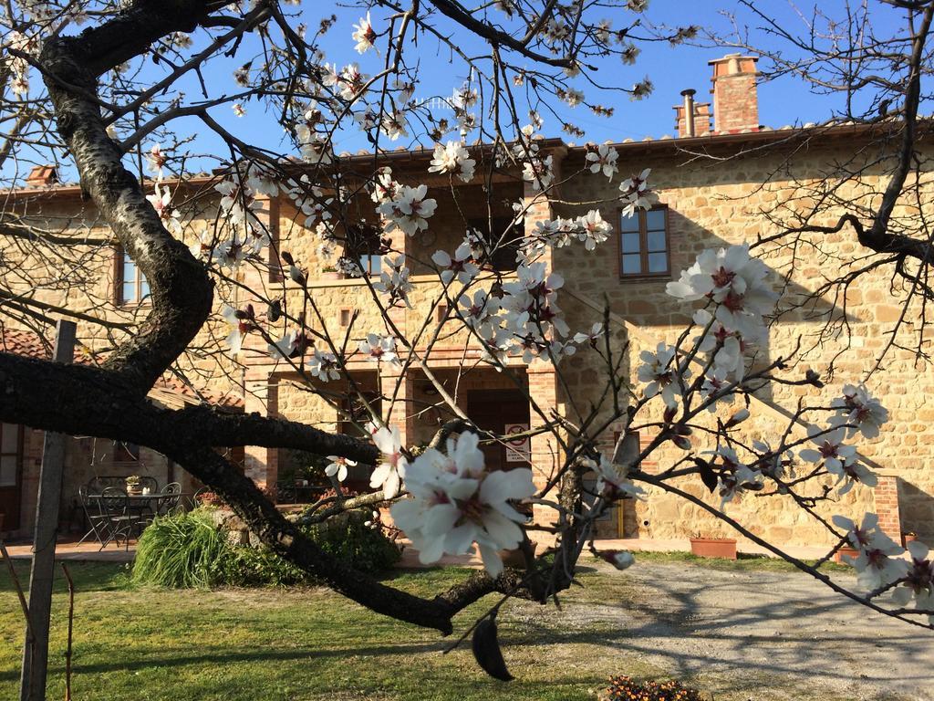 Podere San Gregorio